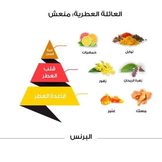 عطر البرنس كلاسيك - 100 مل Elbrince
